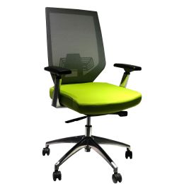 Adjustable Mesh Back Ergonomic Office Swivel Chair with Padded Seat and Casters; Green and Gray; DunaWest