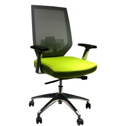 Adjustable Mesh Back Ergonomic Office Swivel Chair with Padded Seat and Casters; Green and Gray; DunaWest