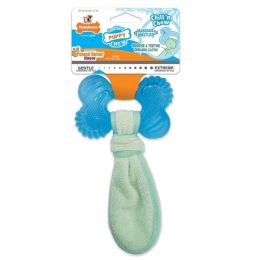 Nylabone Puppy Chew Freezer Bone, Regular